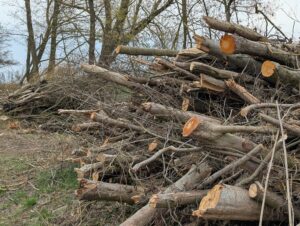 Mehr über den Artikel erfahren Anzeige des Verhaltens des Wasser- und Bodenverbands Nuthe Nieplitz. 
