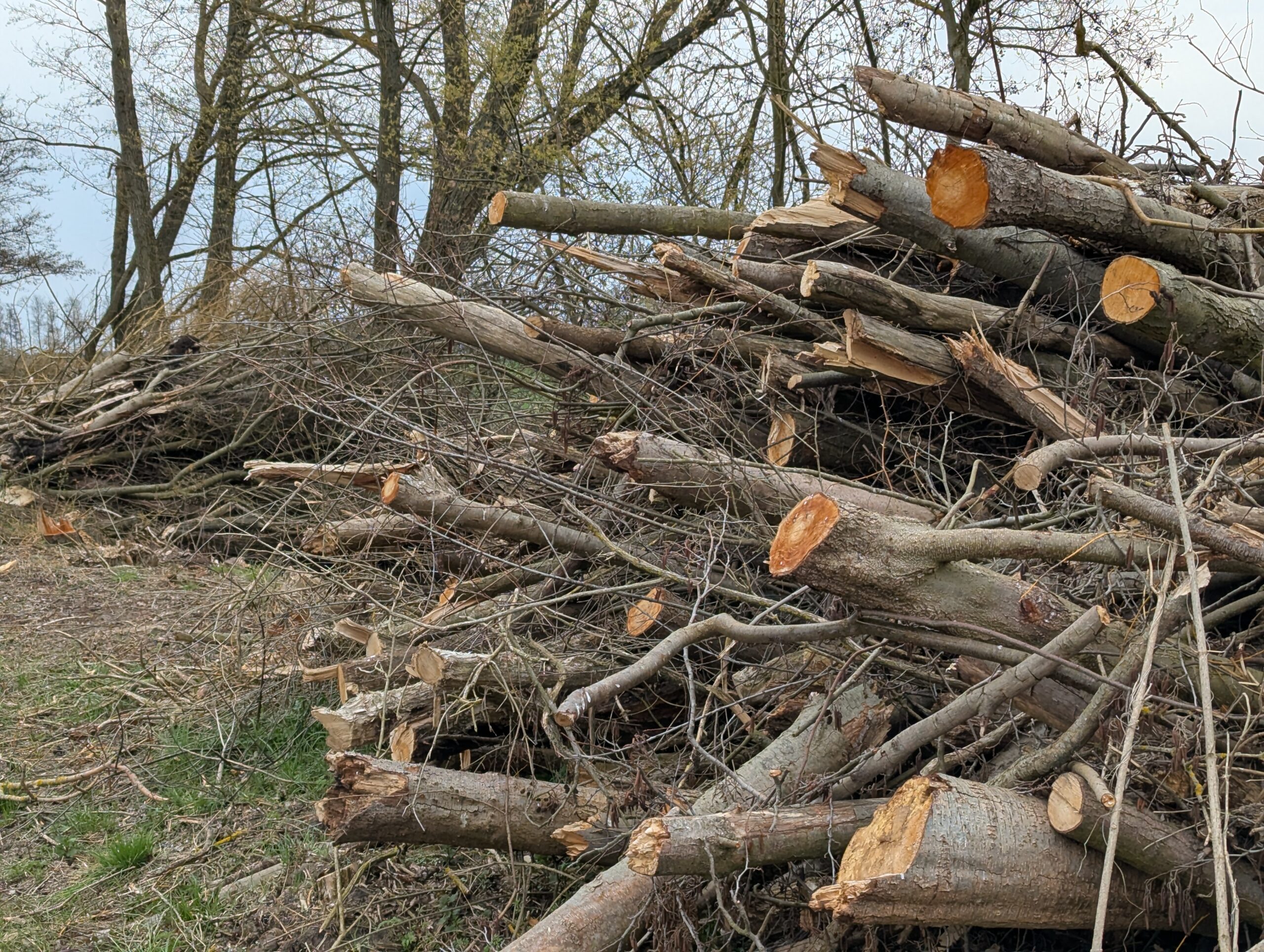 Du betrachtest gerade Anzeige des Verhaltens des Wasser- und Bodenverbands Nuthe Nieplitz. 